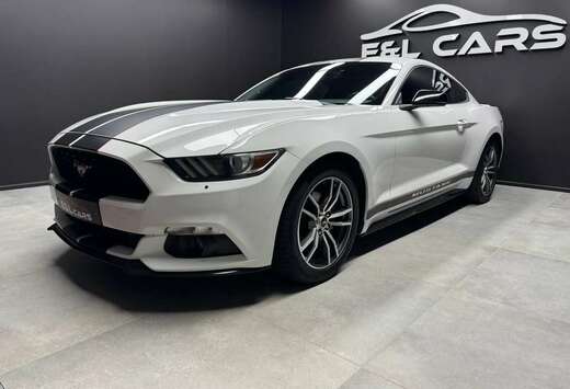 Ford Mustang 2.3 EcoBoost **12 mois de garantie**
