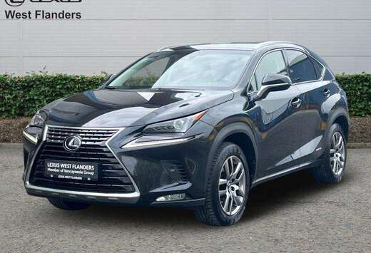 Lexus EXECUTIVE LINE