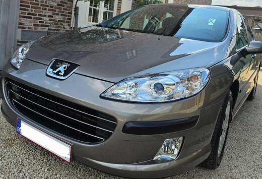 Peugeot 407 1.7i 16v ST Confort
