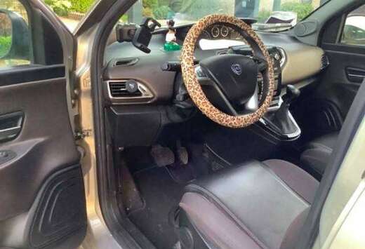 Lancia Platinum +