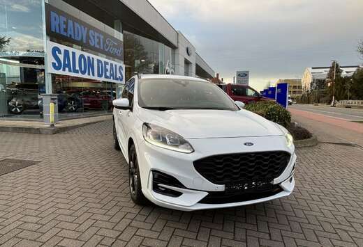 Ford ST-LINE Ecoboost 150PK OC3519 *56156*