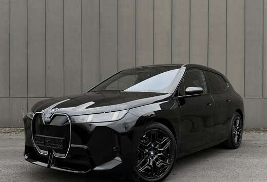 BMW xDrive45  M Sport PRO  SKY Lounge  INNO  Trekh