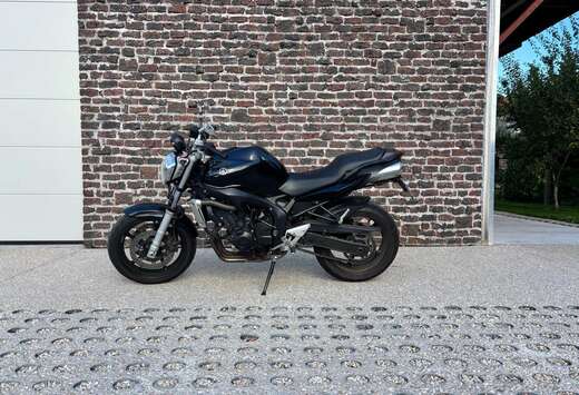 N-FAZER
