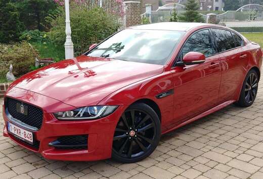 Jaguar XE 20d Aut. R-Sport