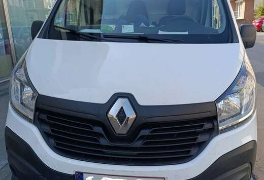 Renault 2.0 dCi 29 L2H1 Business (Fleet)