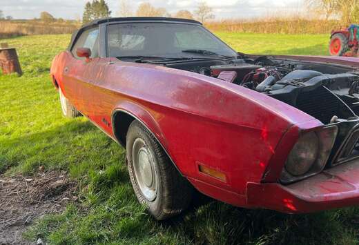 Ford V8 302