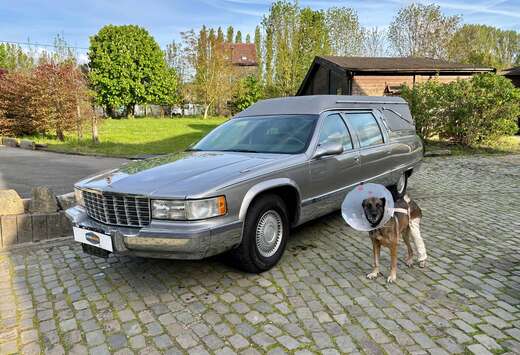 Cadillac Corbillard V8 80000 km Belge car-pass \