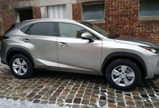 Lexus NX 300h 2.5i AWD Business Edition E-CVT