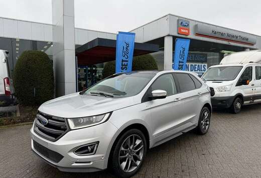 Ford Enkel voor professionele verkoop.