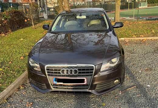 Audi 2.0 TDI DPF S line Sportpaket (plus)