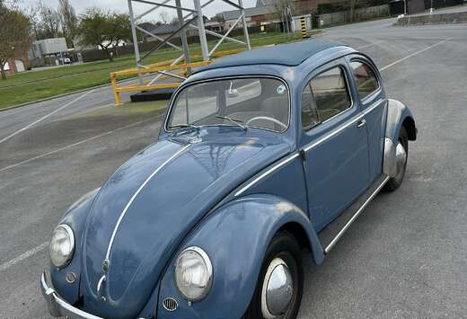 Volkswagen 1958 Ragtop Capri Blue