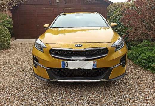 Kia 1.6 CRDi MHEV Pulse DCT