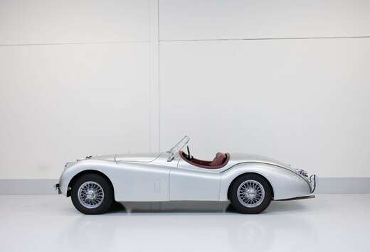 Jaguar 120 OTS