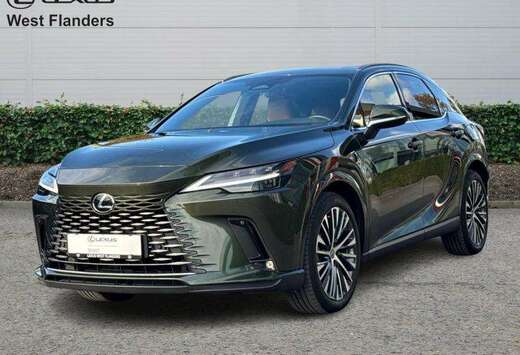 Lexus Executive Line