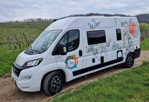 Fiat ROLLER TEAM LIVINGSTONE 5 SPORT CAMPERVAN