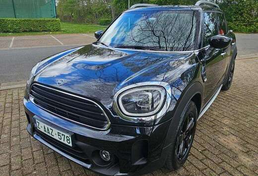 MINI cooper D trim
