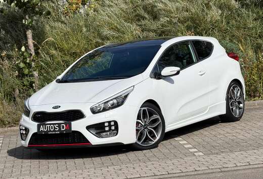 Kia Pro_Cee\'d GT 1.6 T-GDi GT Sense Half Leder/Alcan ...