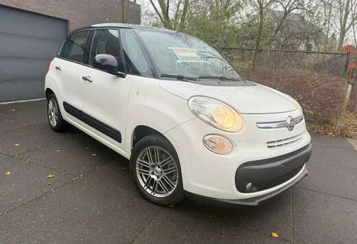 Fiat 1.3 Multijet euro5B - gekeurd voor verkoop carpa ...