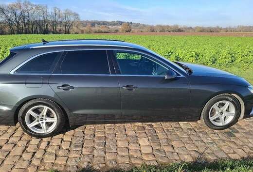 Audi Avant 30 TDi Business Edition S tronic cuir, led