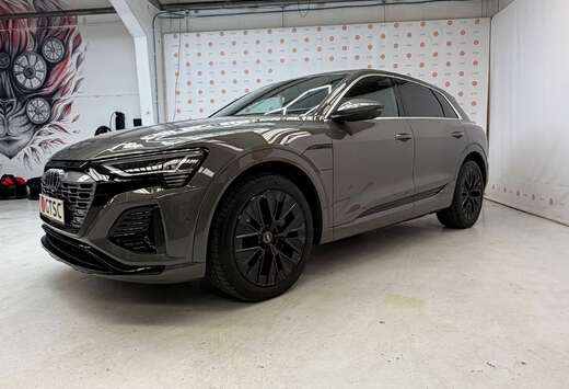 Audi 106 kWh 55 Quattro S line Chronos grijs Valcona  ...