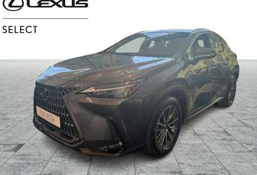 Lexus Executive Line