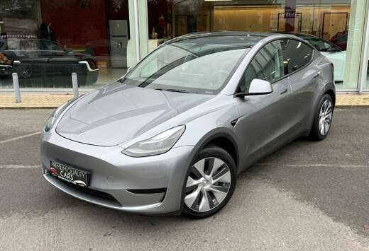 Tesla QUICKSILVER / TREKHAAK / PANO / ZETELVERWARMING ...