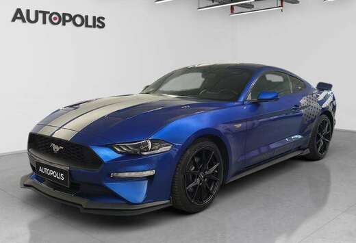 Ford 2.3i EcoBoost FB M6 IMPORT USA