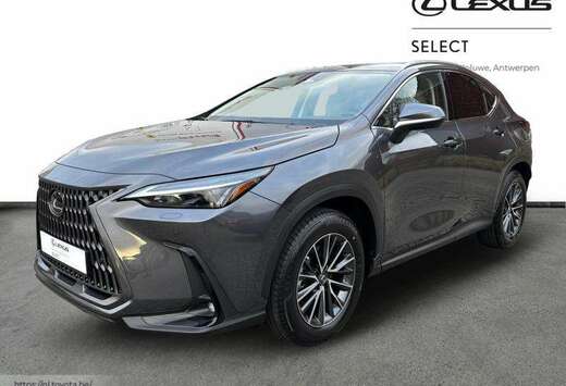 Lexus Executive Line + HUD