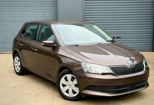 Skoda Benzine 1 Jaar garantie + onderhoud voor vertre ...