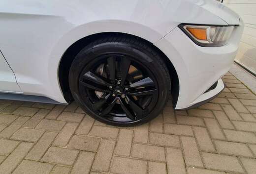 Ford Mustang 2.3 EcoBoost