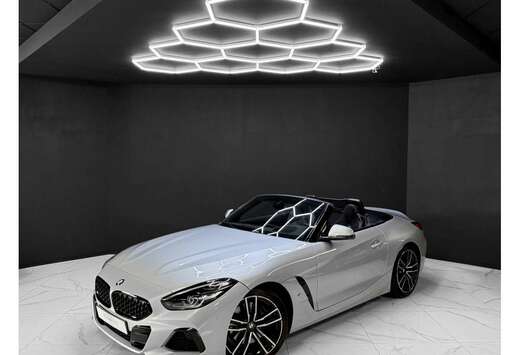 BMW 30i M Sport / HK / HEAD-UP / ACC / CAM