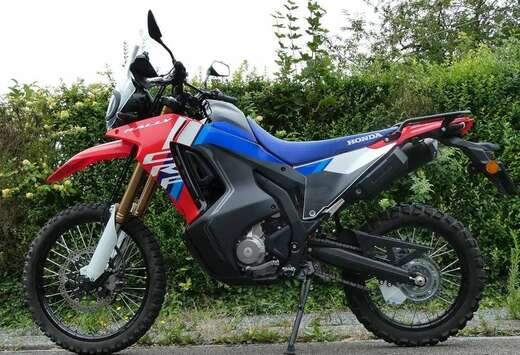 Honda Rally 2025