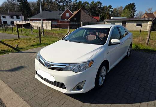 Toyota XLE Hybrid 2013
