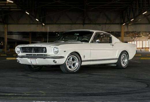 Ford Fastback