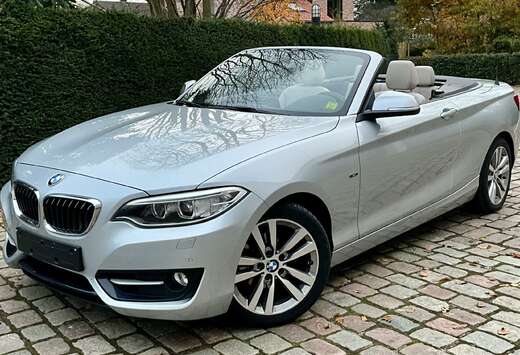 BMW Cabrio  218i Automaat  ### 55000 km ###