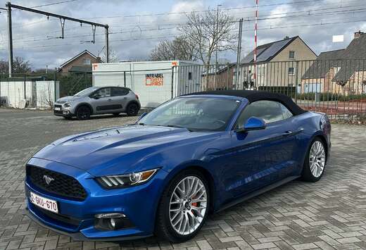 Ford Convertible 2.3 EcoBoost