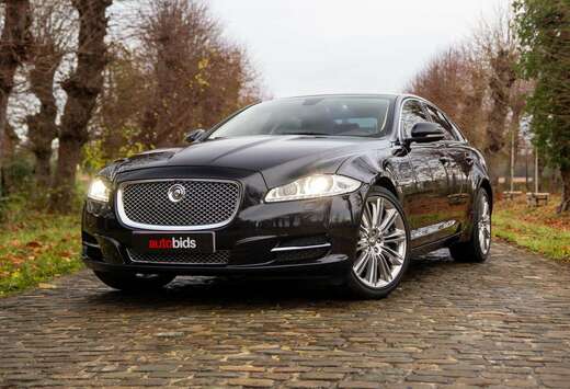 Jaguar XJ Portfolio