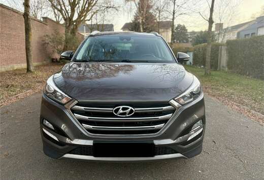 Hyundai 2.0 CRDi 4WD Executive 2wd