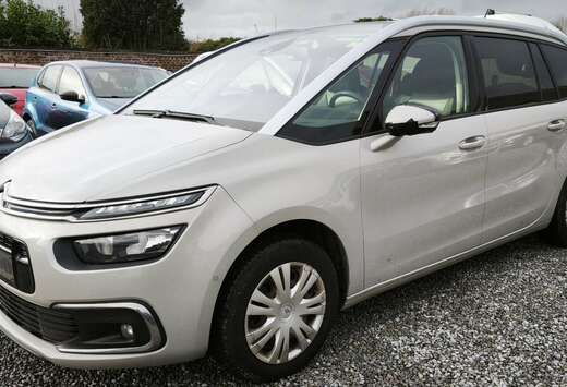 Citroen 1.5 BHDI (130CH)_2019EUR.6D-Temp_7 PL