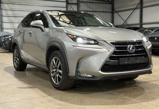 Lexus NX 300h Executive-Line