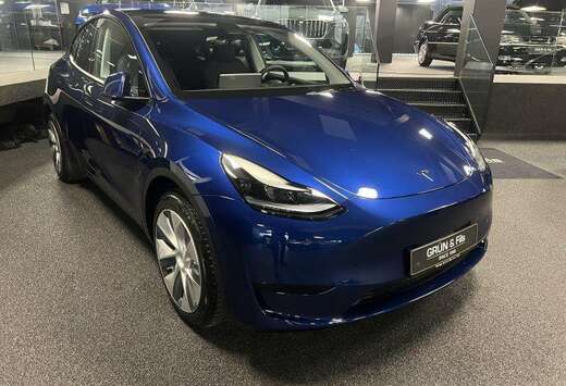 Tesla Standart