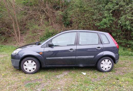 Ford Fiesta 1.4 Turbo TDCi Ambiente