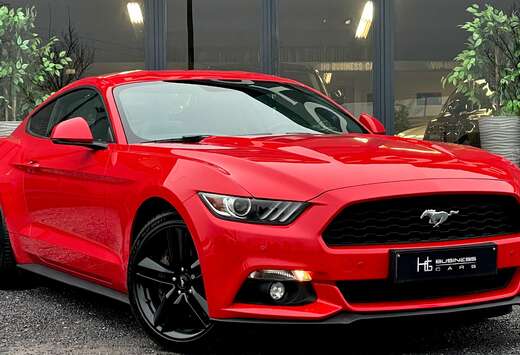 Ford 2.3 EcoBoost/ CARNET COMPLET FORD/ GPS/ CUIR/ LE ...