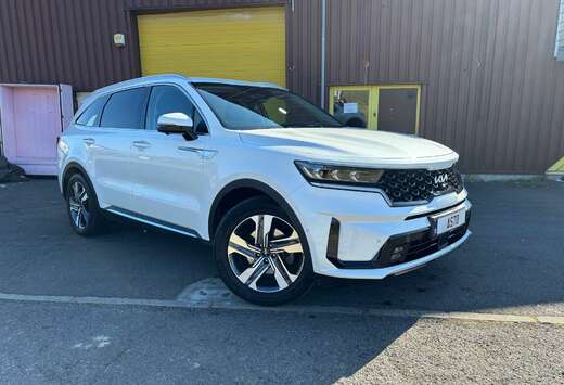 Kia 1.6 TGI AWD PHEV Pulse 7pl. (195kW)