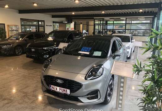 Ford mHEV ST-Line X AUT A7 STOCK BIJ DRIESEN BREE   0 ...