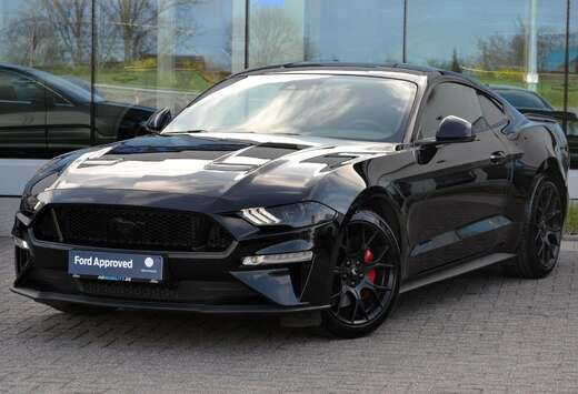 Ford 2.3i EcoBoost *Black Pack*