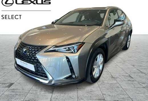 Lexus Business Line