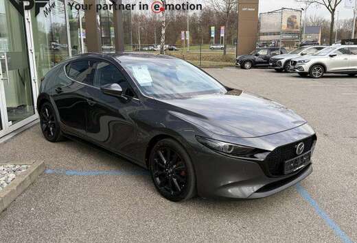 Mazda Skycruise *Full-option*