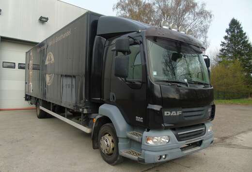 DAF FA-LF55 dholandia *2009* 1e Eigen*AIRCO*EURO 4