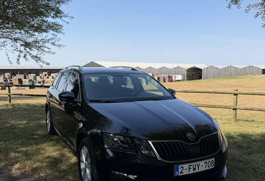 Skoda Octavia SW 1.0 TSI Ambition (EU6.2)